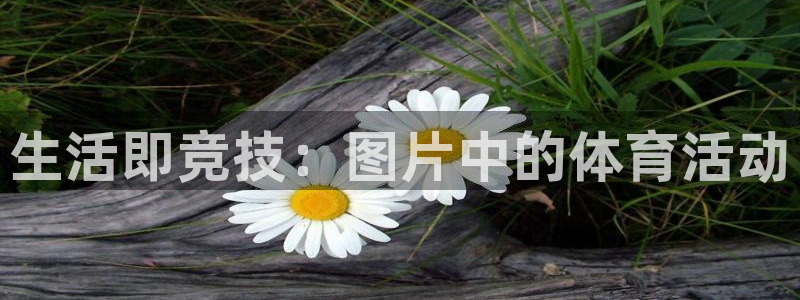 betway西汉姆官网