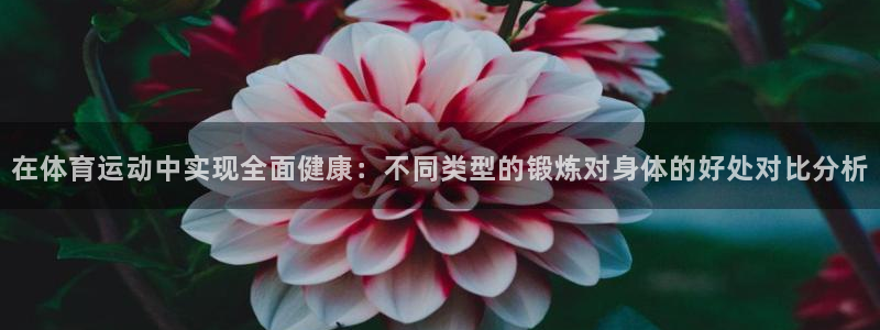 betway西汉姆联官网