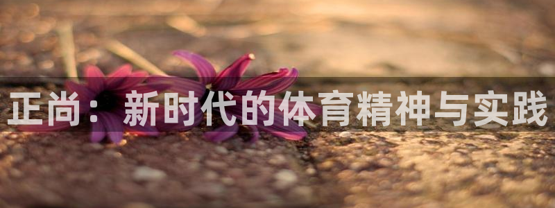 必威betway西汉姆联