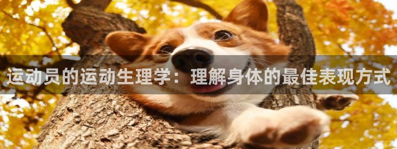 betway西汉姆联