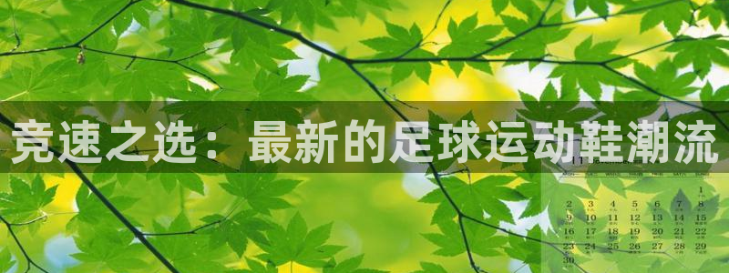 betway西汉姆联