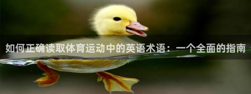 betway西汉姆联官网